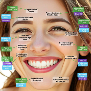 Bertoli Apple Stem Cell Serum: Woman's face with skincare benefits labeled on a clear background
