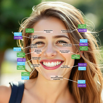 Bertoli Stem Cell Serum Ingredients and Benefits