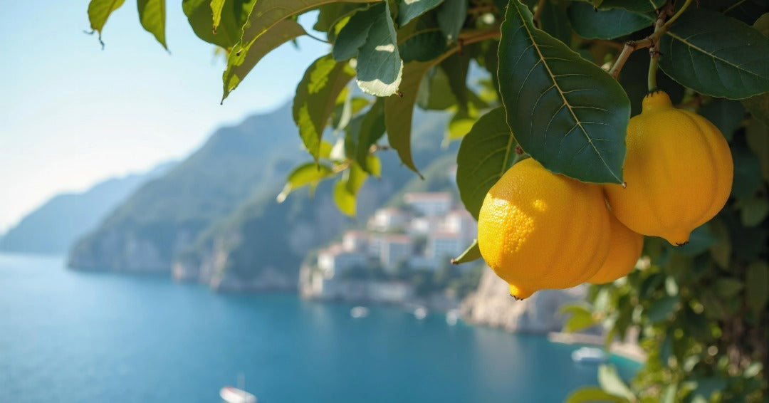 Natural Organic Italian Cosmetics with Red Grape Skin, Vitamin C, and Organically Grown Olives