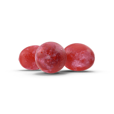 Unlocking the Skin Benefits of Grape Polyphenols - Bertoli Beauty