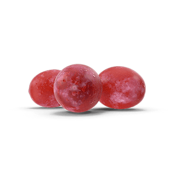 Unlocking the Skin Benefits of Grape Polyphenols - Bertoli Beauty