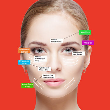 Skincare Benefits of Ingredients like Peptides, Vitamin C, Hyaluronic Acid ,Olive Oil, Apple Stem Cells