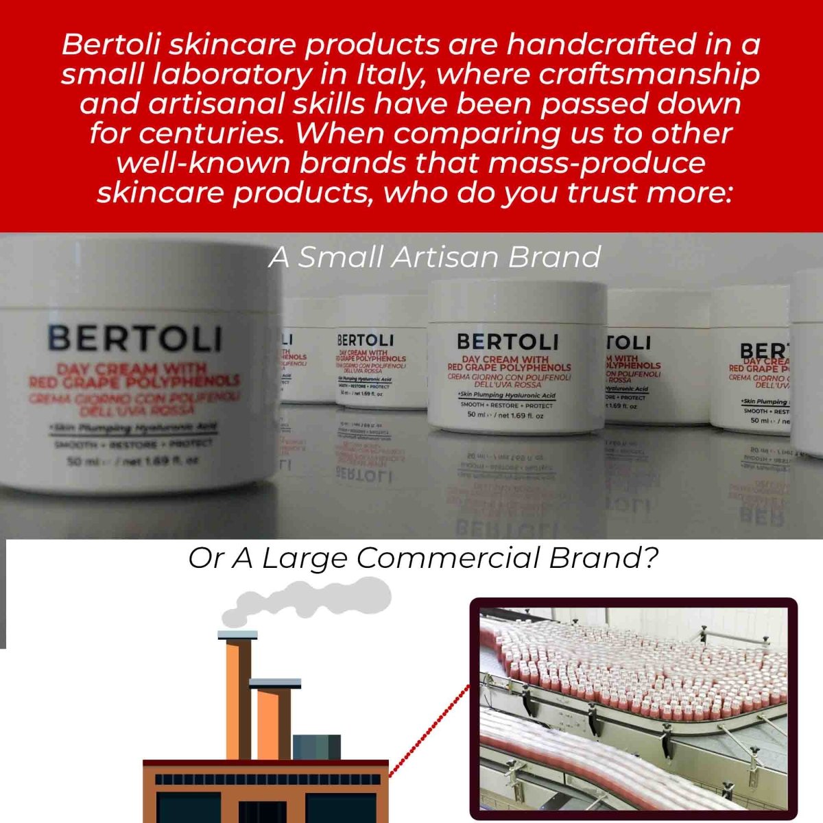 DAY CREAM WITH RED GRAPE POLYPHENOLS - Bertoli Beauty