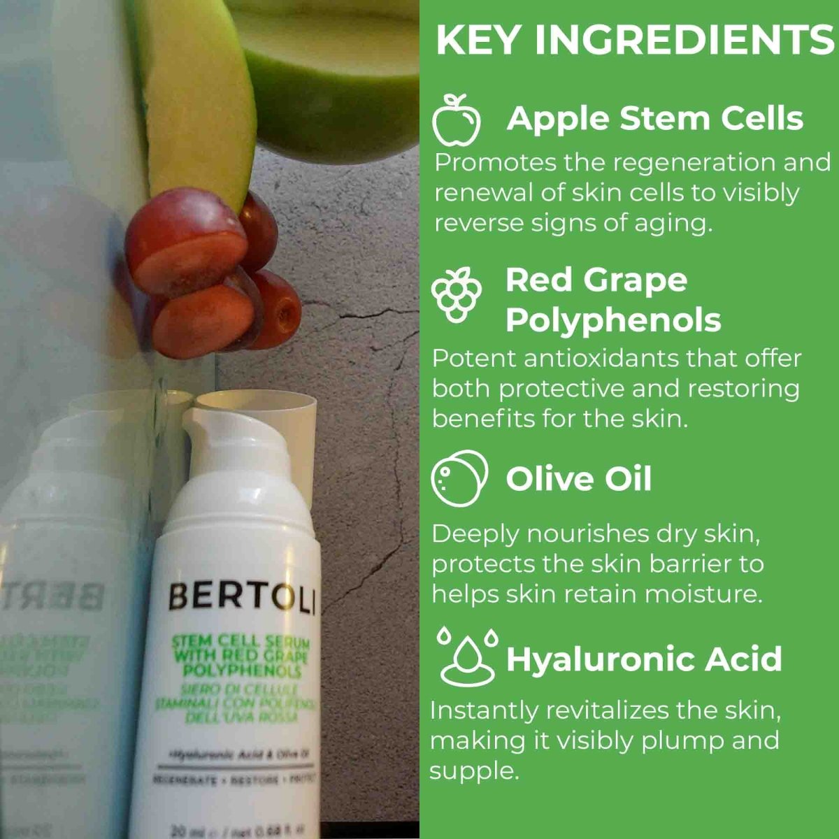 STEM CELL SERUM WITH RED GRAPE POLYPHENOLS - Bertoli Beauty