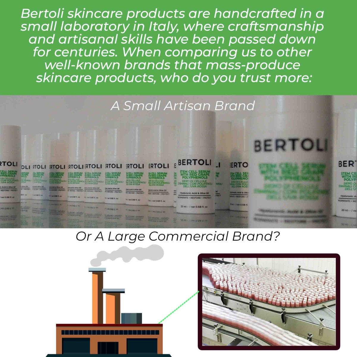 STEM CELL SERUM WITH RED GRAPE POLYPHENOLS - Bertoli Beauty